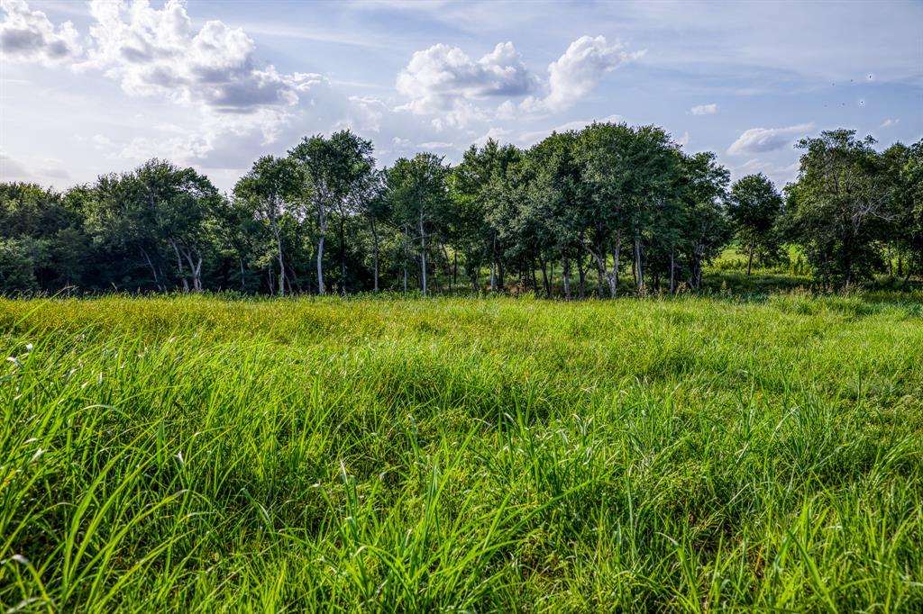 LOT 3 Hargrove Lane, Washington, Texas image 7