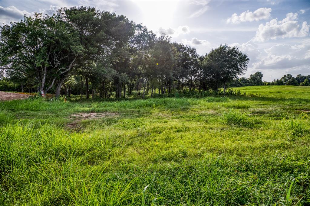 LOT 3 Hargrove Lane, Washington, Texas image 4