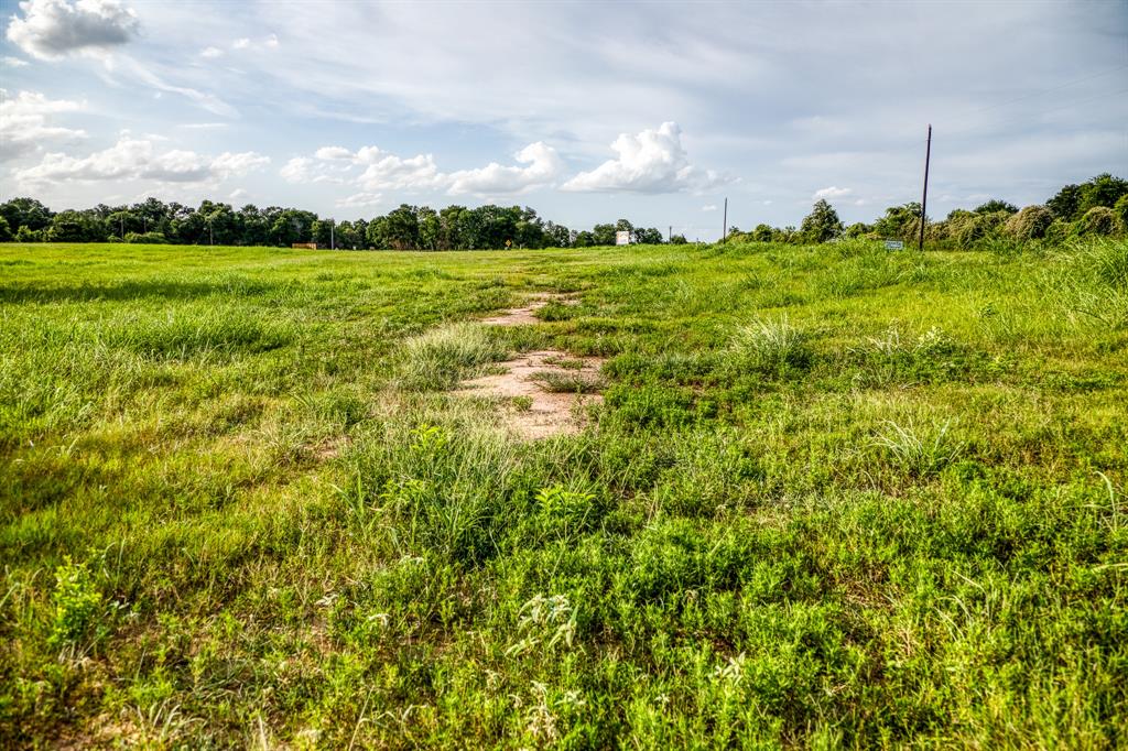 LOT 3 Hargrove Lane, Washington, Texas image 5