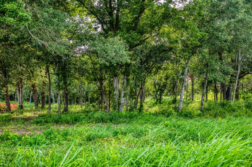 LOT 3 Hargrove Lane, Washington, Texas image 6