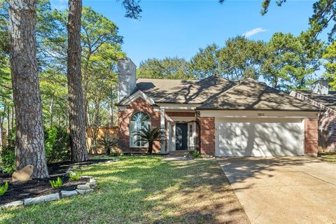 Single Family Residence in Houston TX 7803 Hidden Oaks Lane.jpg