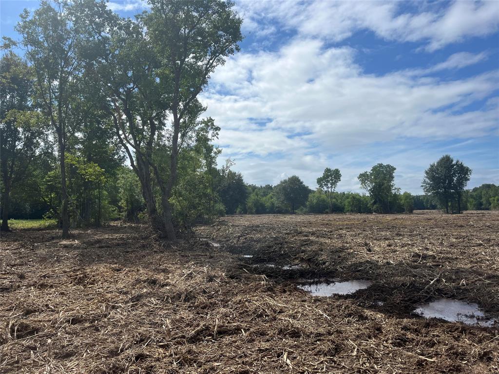 TBD Cr 136, San Augustine, Texas image 11