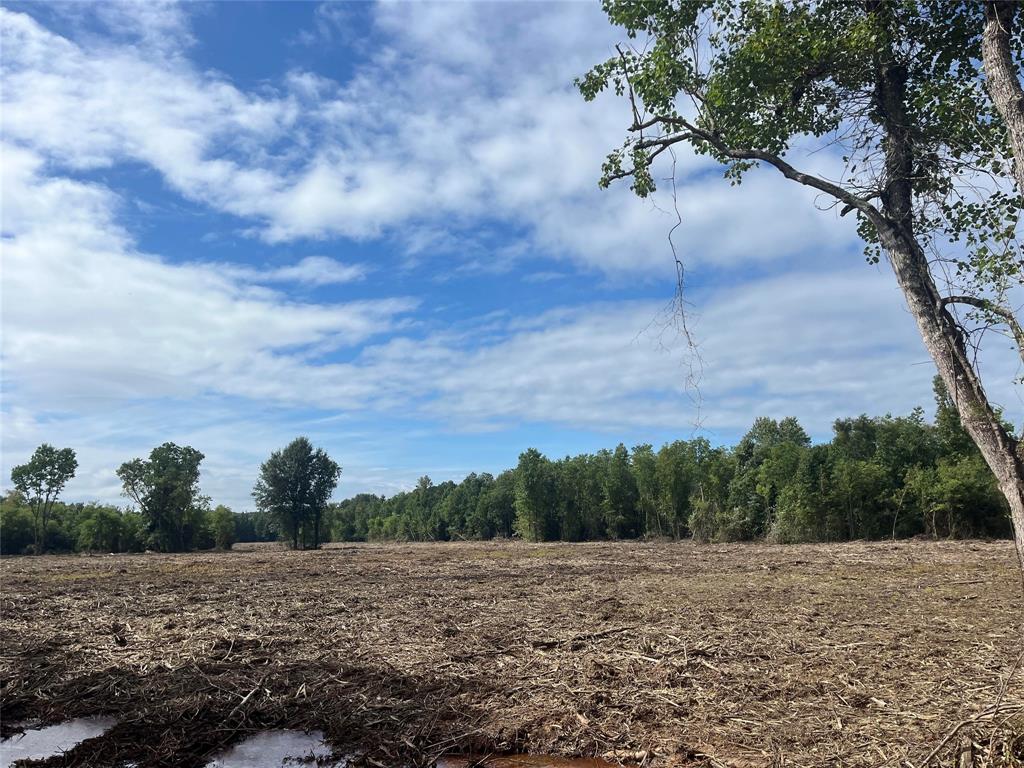 TBD Cr 136, San Augustine, Texas image 8