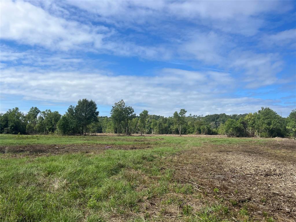 TBD Cr 136, San Augustine, Texas image 9