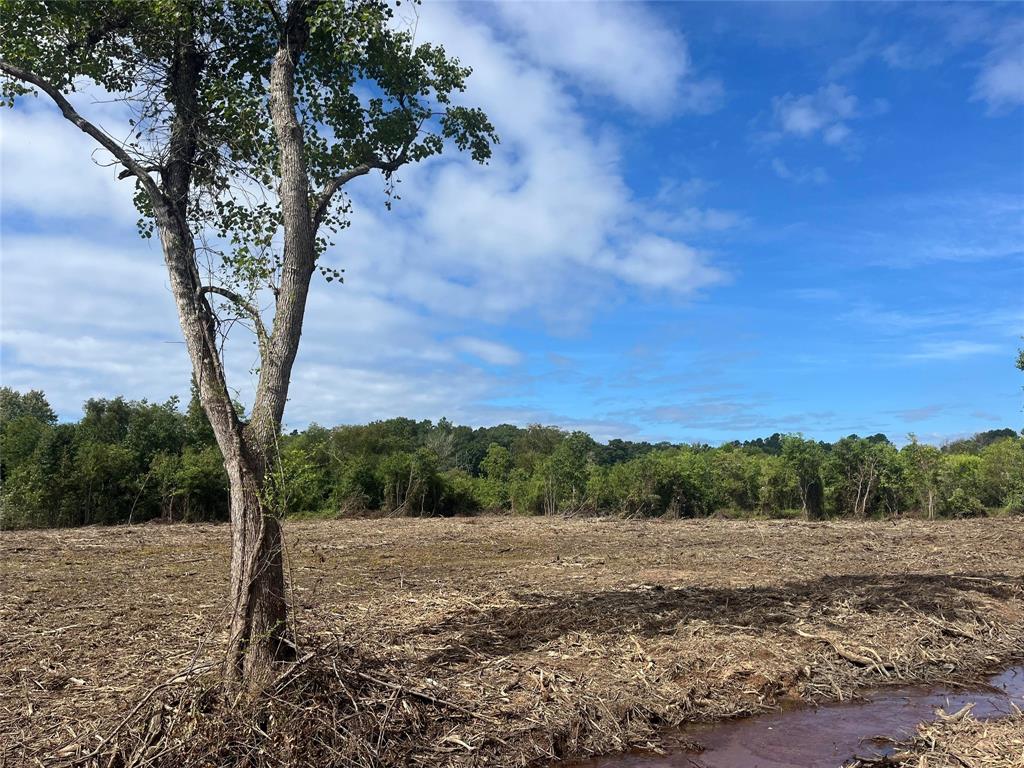 TBD Cr 136, San Augustine, Texas image 12