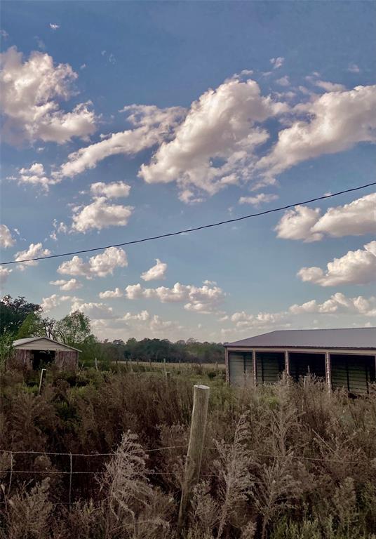 2547 Bob Mathews Street, Bedias, Texas image 5