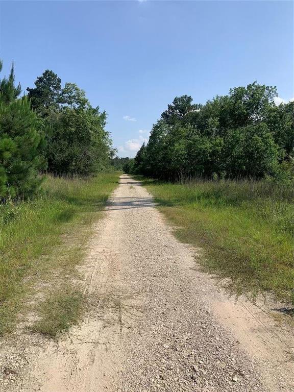 Moonshine Hill Road, Humble, Texas image 5