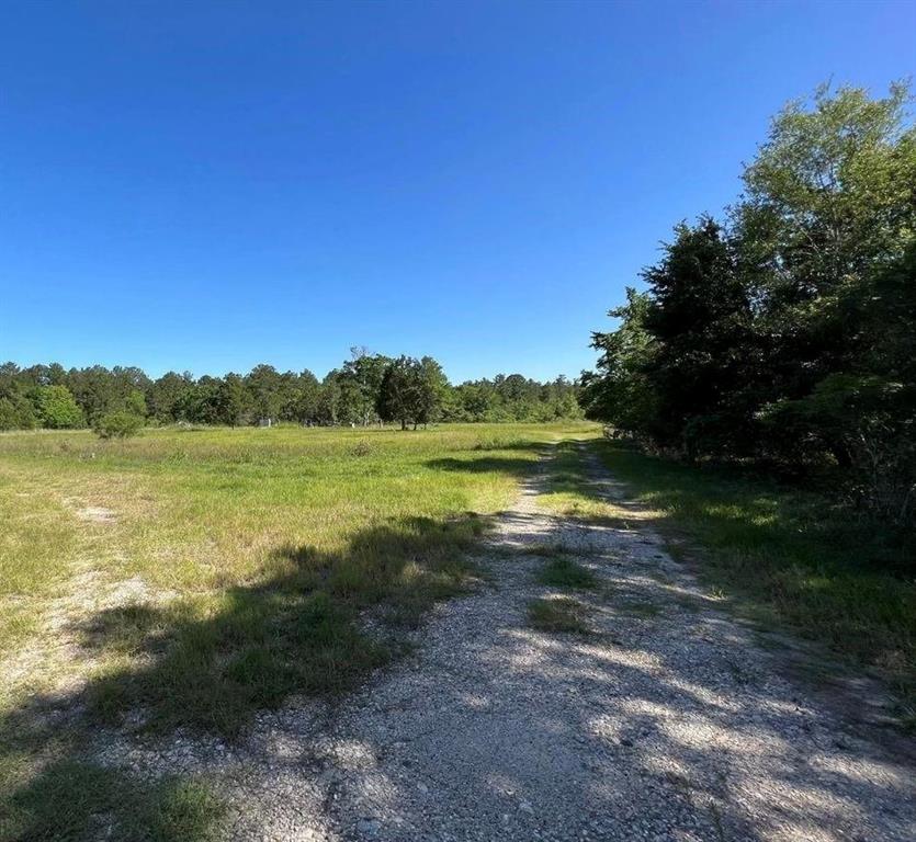 Moonshine Hill Road, Humble, Texas image 2