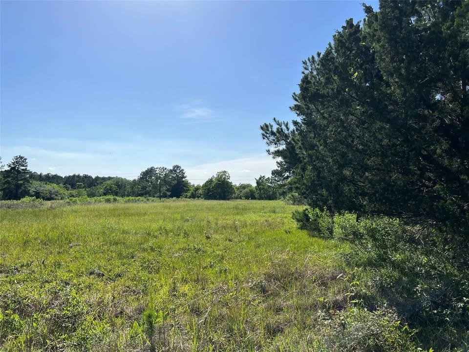 Moonshine Hill Road, Humble, Texas image 3