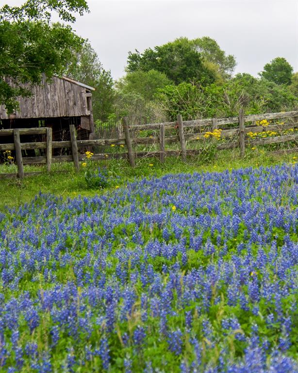 31319 Hastings Creek Lane, Fulshear, Texas image 12