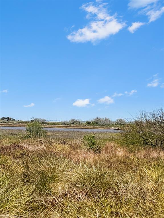 LOT 3 Fm 2918, Brazoria, Texas image 7