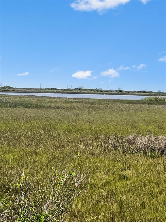 LOT 3 Fm 2918, Brazoria, Texas image 2