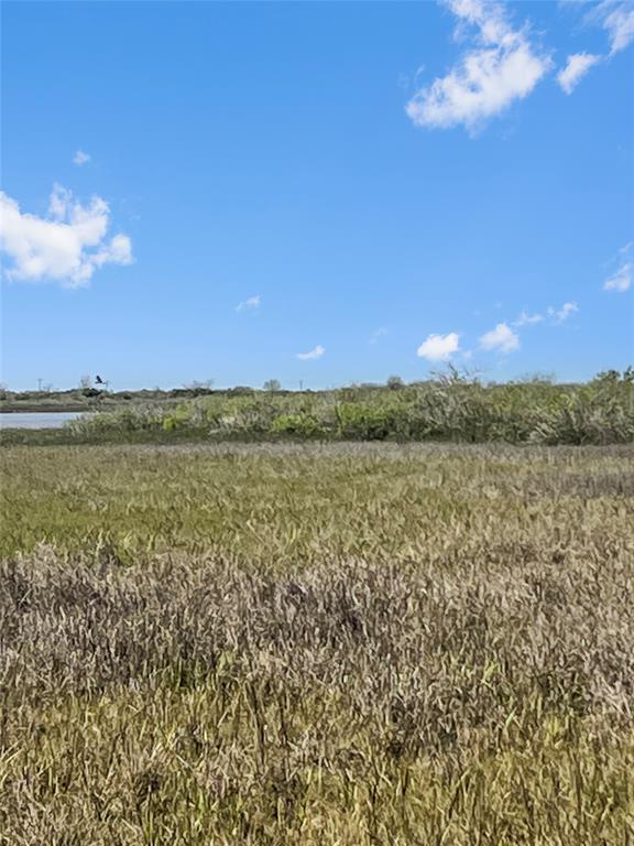 LOT 3 Fm 2918, Brazoria, Texas image 6