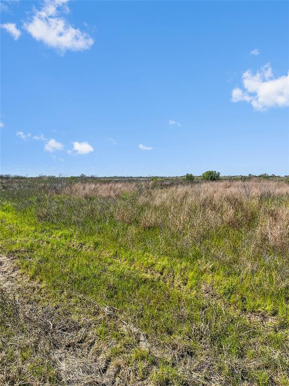 LOT 3 Fm 2918, Brazoria, Texas image 8