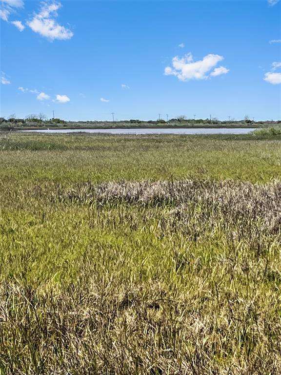 LOT 3 Fm 2918, Brazoria, Texas image 10