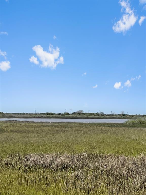 LOT 3 Fm 2918, Brazoria, Texas image 5