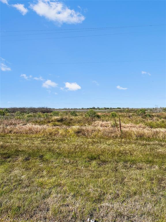 LOT 3 Fm 2918, Brazoria, Texas image 3