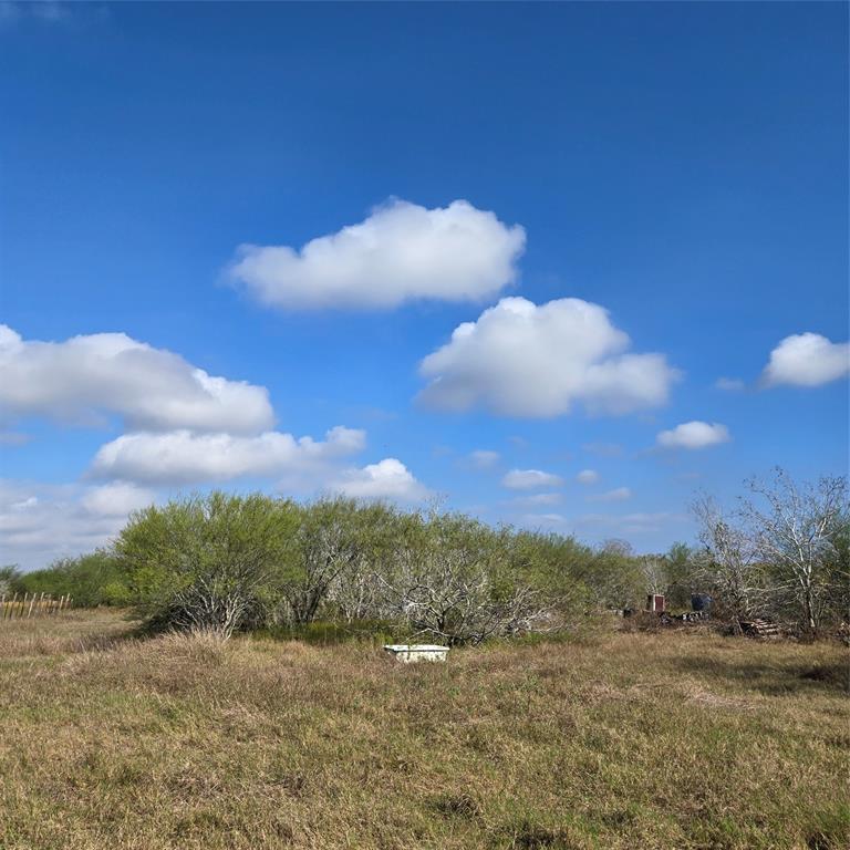 1350 W 8th Street, Yorktown, Texas image 6