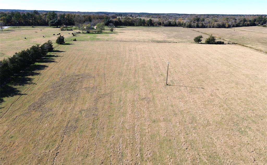 TBD State Highway 19, Crockett, Texas image 10