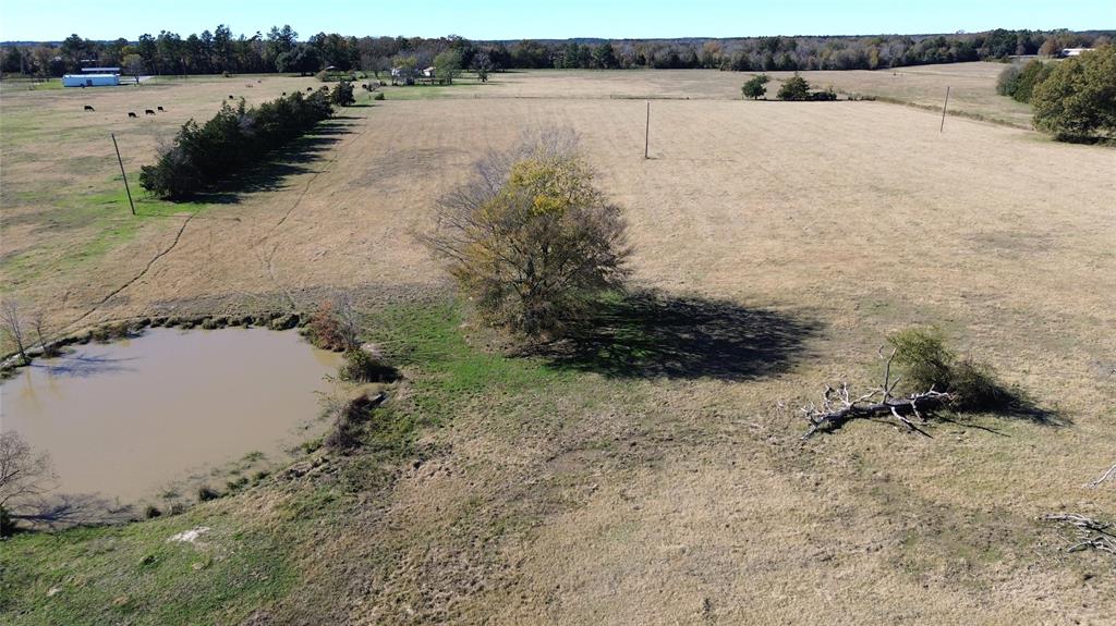 TBD State Highway 19, Crockett, Texas image 9