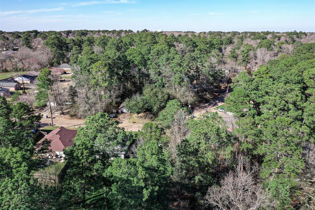 3138 Winding Way Way, Huntsville, Texas image 4