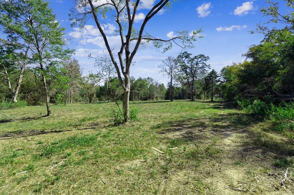 14440 Fm 1696 Road, Bedias, Texas image 34