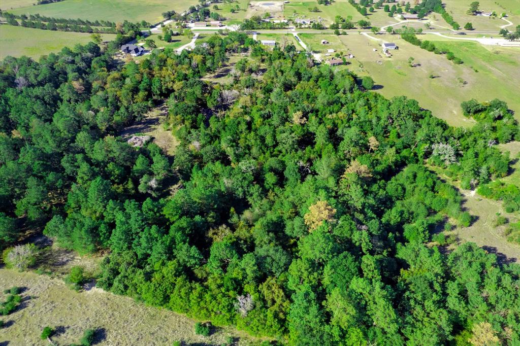 14440 Fm 1696 Road, Bedias, Texas image 29