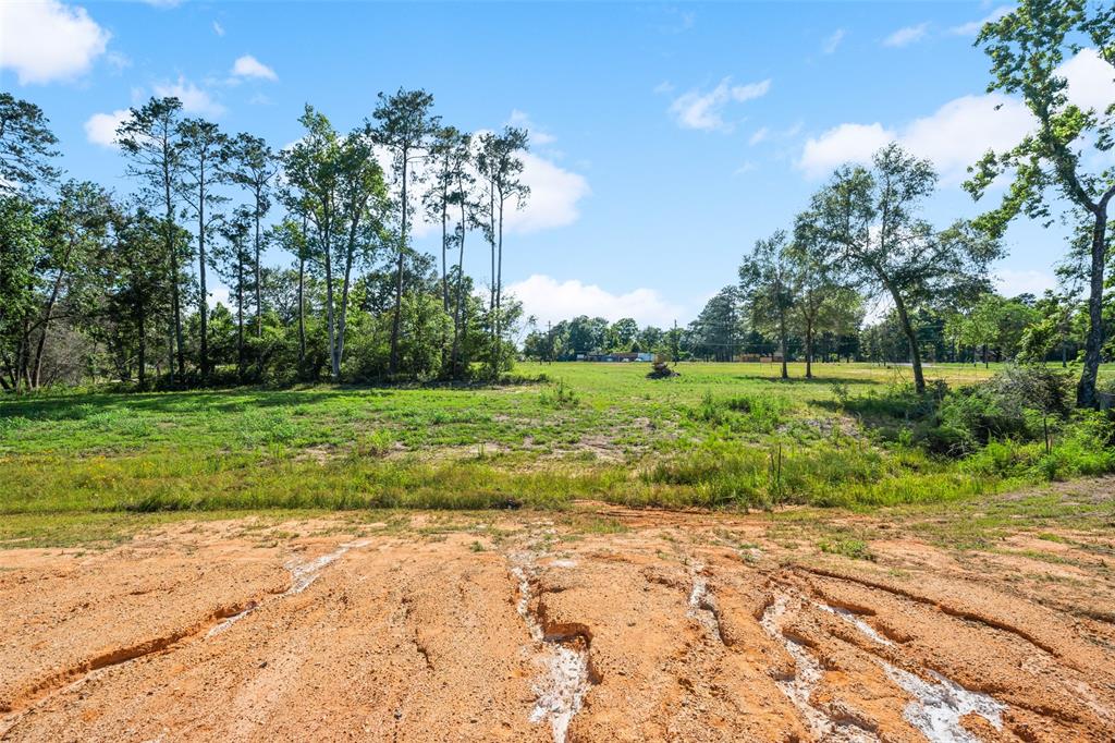 190 Faulkner Ave, Coldspring, Texas image 18