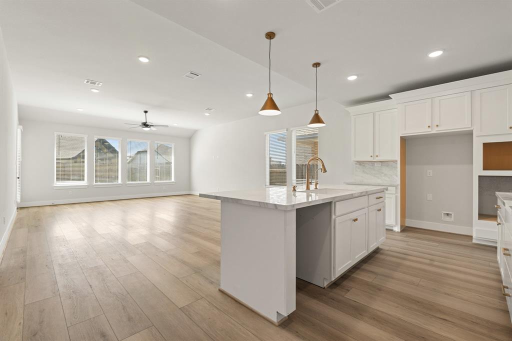 24815 Vervain Meadow Trail
