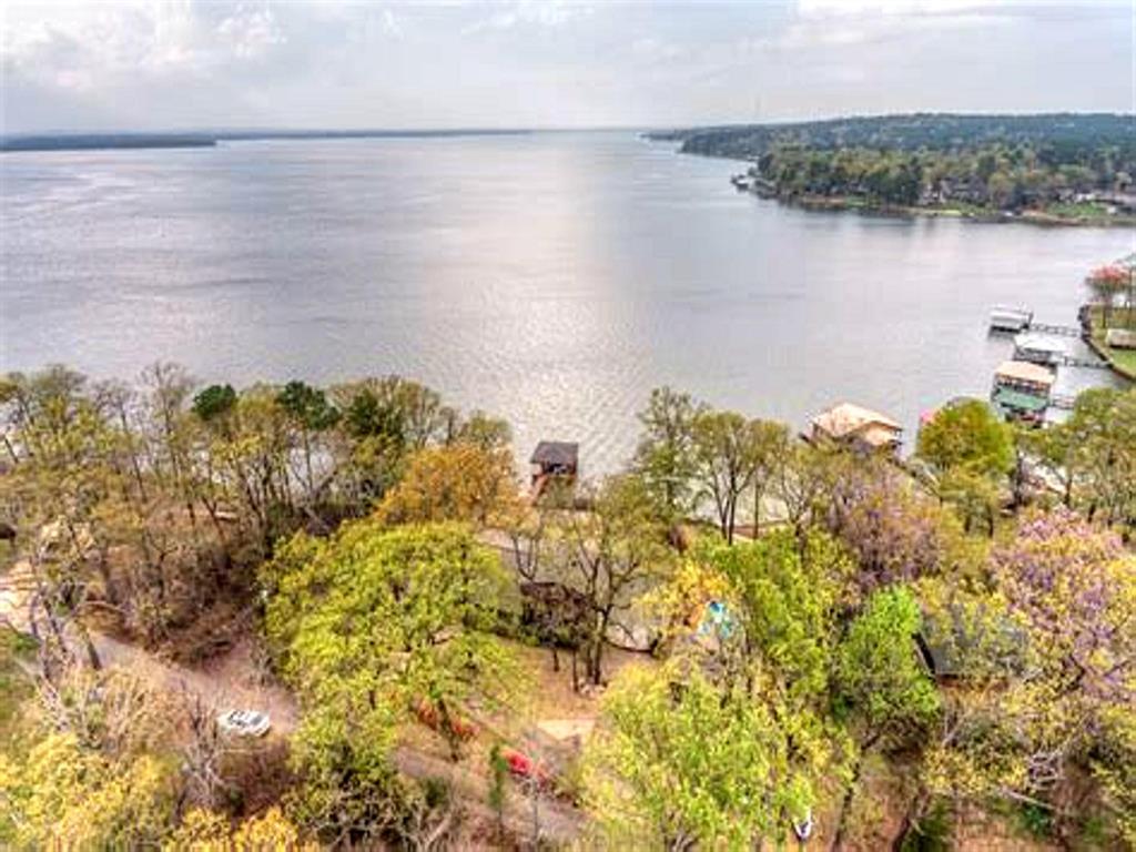 17332 Pintail Drive, Flint, Texas image 4