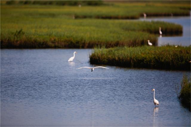 4 Loggerhead, Hitchcock, Texas image 28