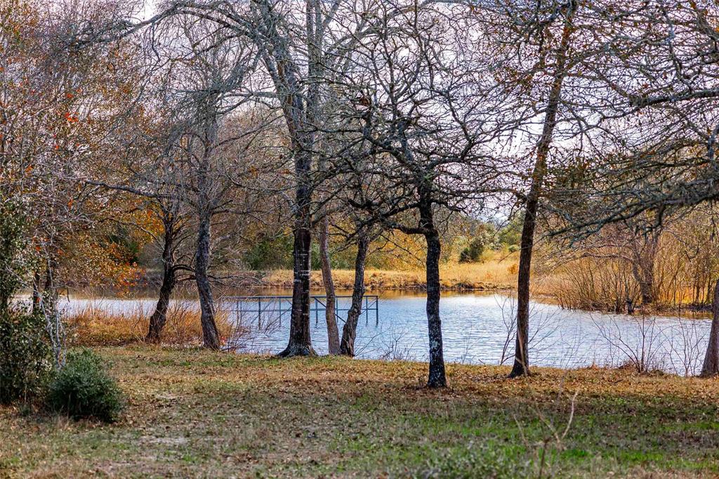 Tract 1 Nassau, Round Top, Texas image 31