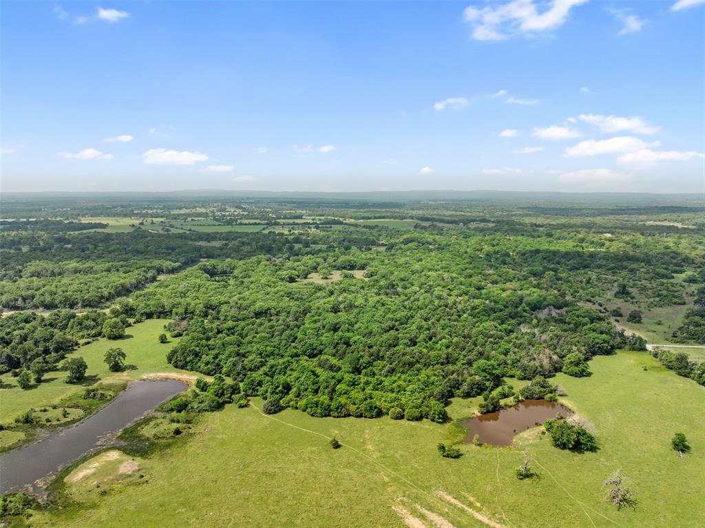 00 Pr 4460 Street, Normangee, Texas image 5