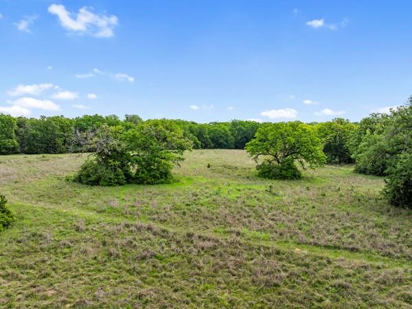 00 Pr 4460 Street, Normangee, Texas image 3