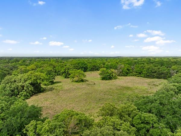 00 Pr 4460 Street, Normangee, Texas image 12