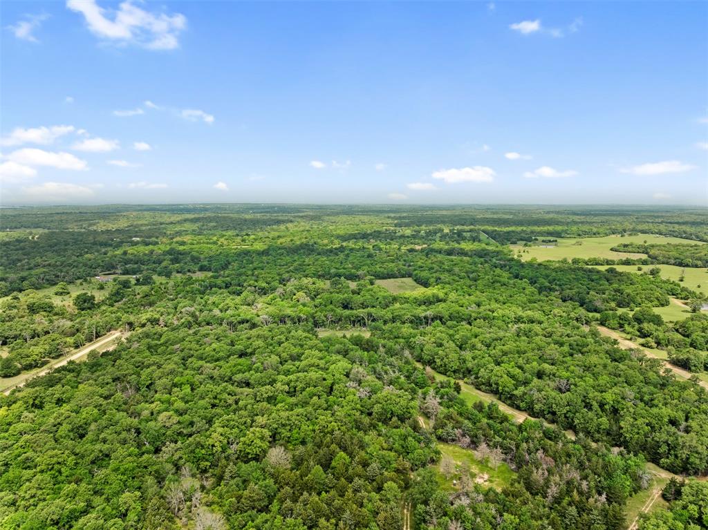 00 Pr 4460 Street, Normangee, Texas image 10