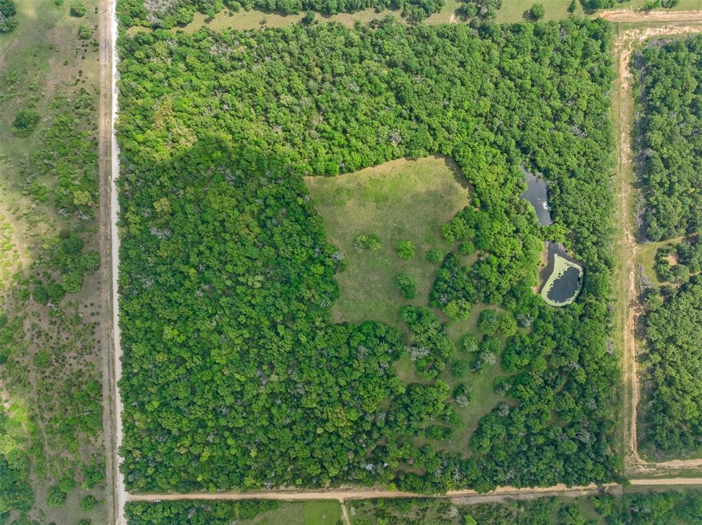 00 Pr 4460 Street, Normangee, Texas image 11
