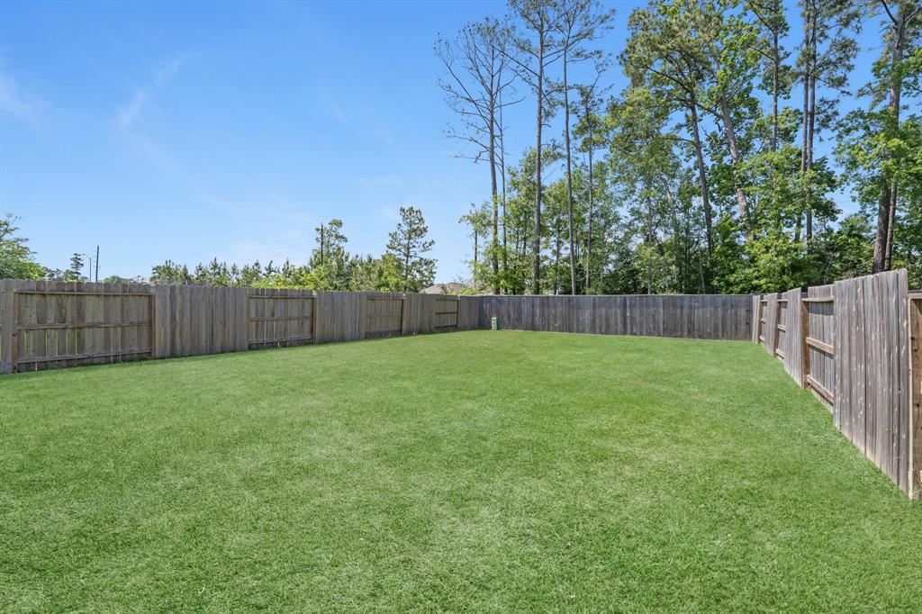 6117 Dunsmore Canyon Lane, Porter, Texas image 2