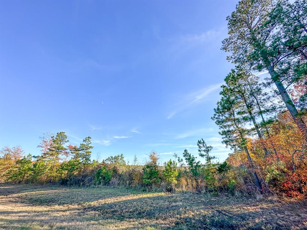 Fm 2120, Bagwell, Texas image 9