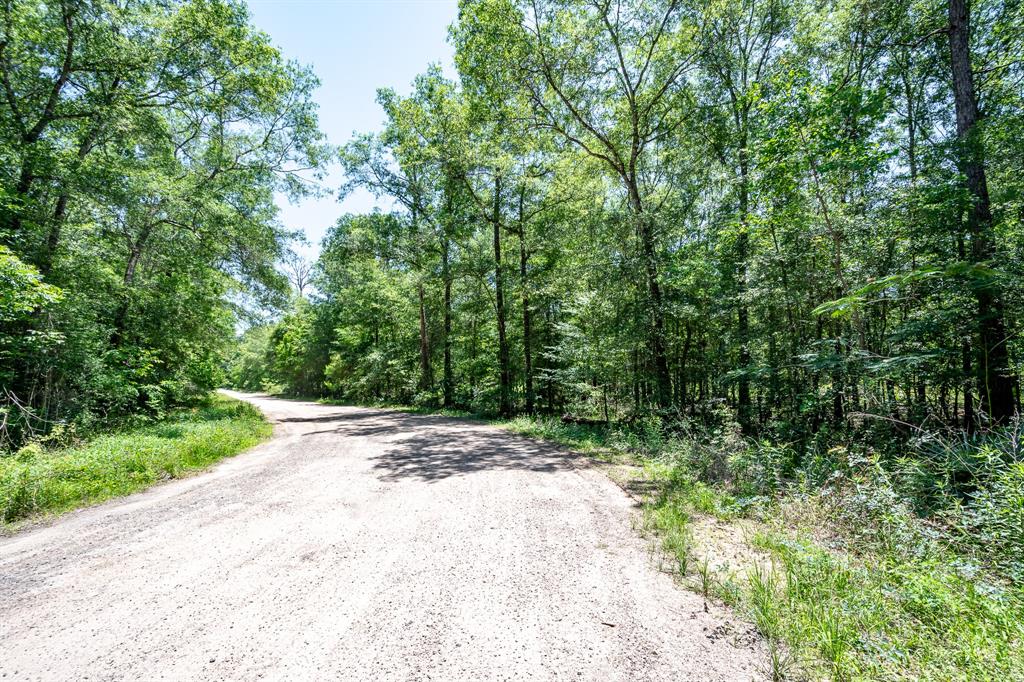 000 Cr 3774 Road, Cleveland, Texas image 5