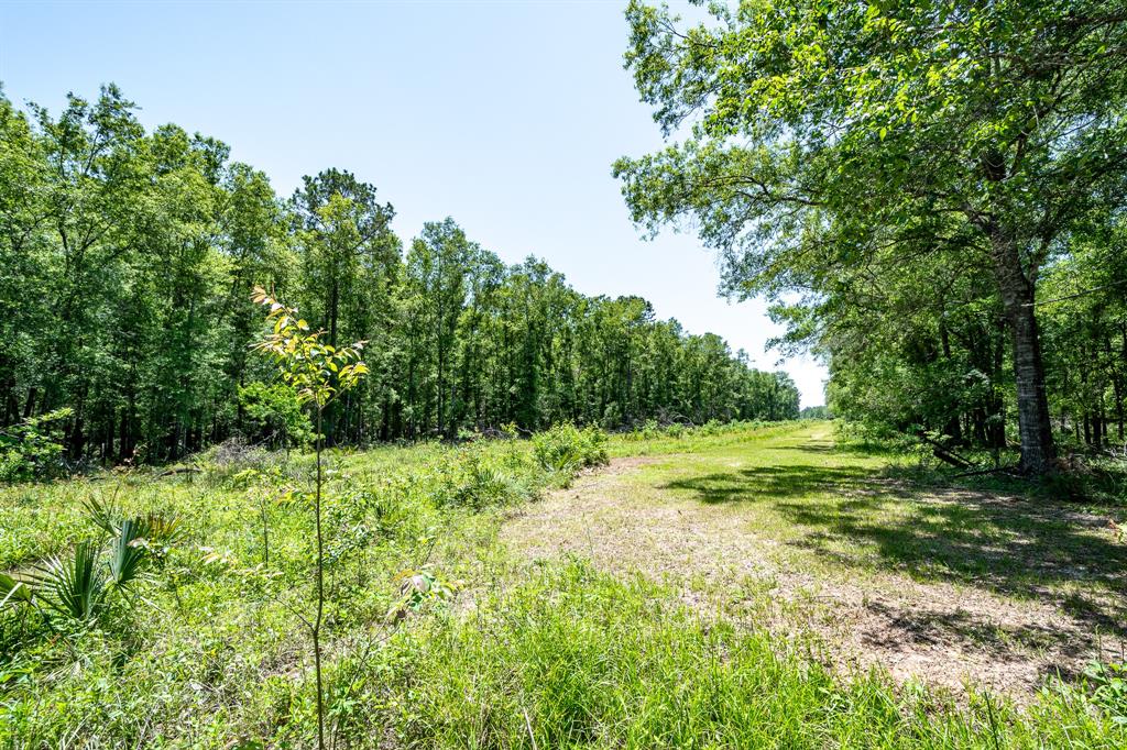 000 Cr 3774 Road, Cleveland, Texas image 4