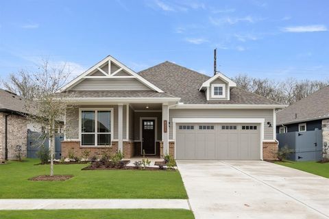 8335 Red Shiner Way Fulshear TX 77441