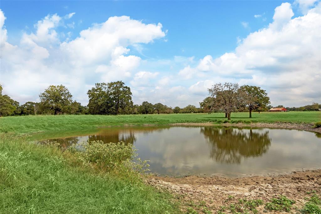 TBD Oquinn Branch Road, La Grange, Texas image 3