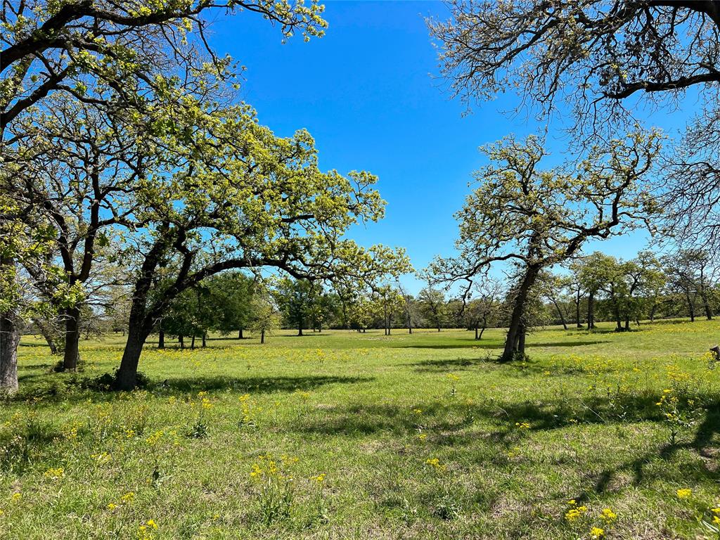 1594 Fm 1147, Marquez, Texas image 48