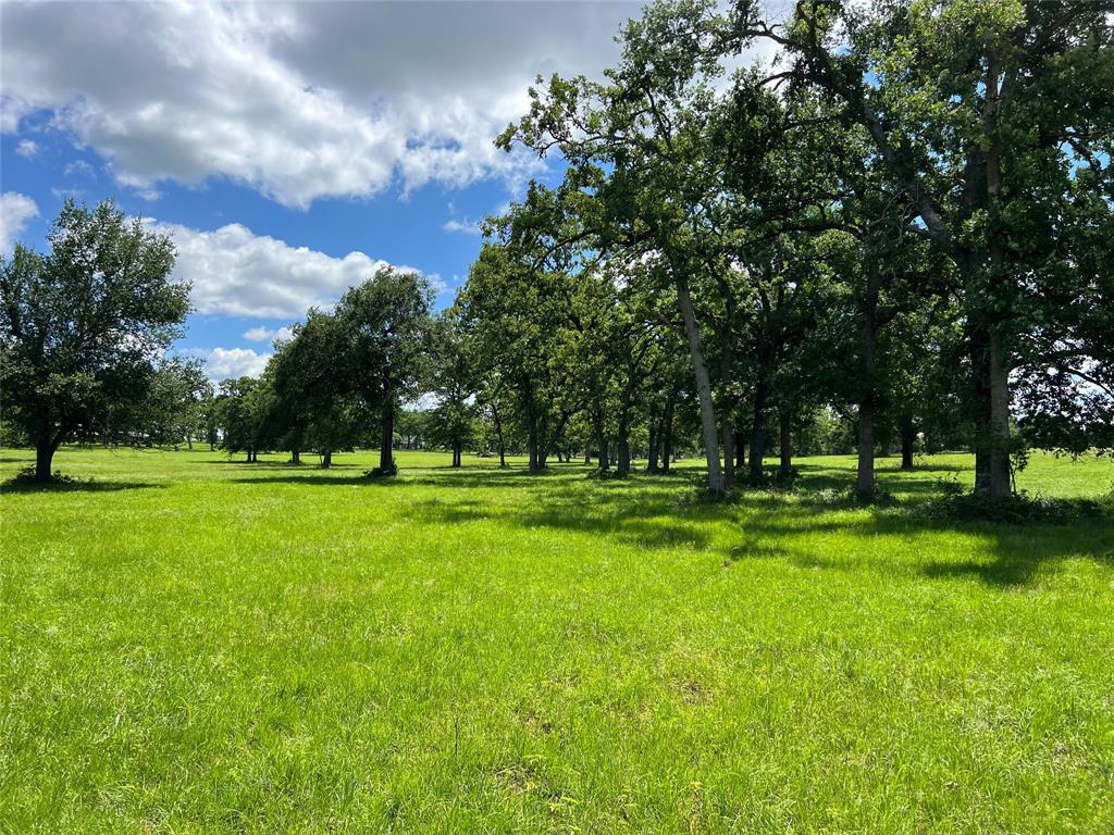 1594 Fm 1147, Marquez, Texas image 48