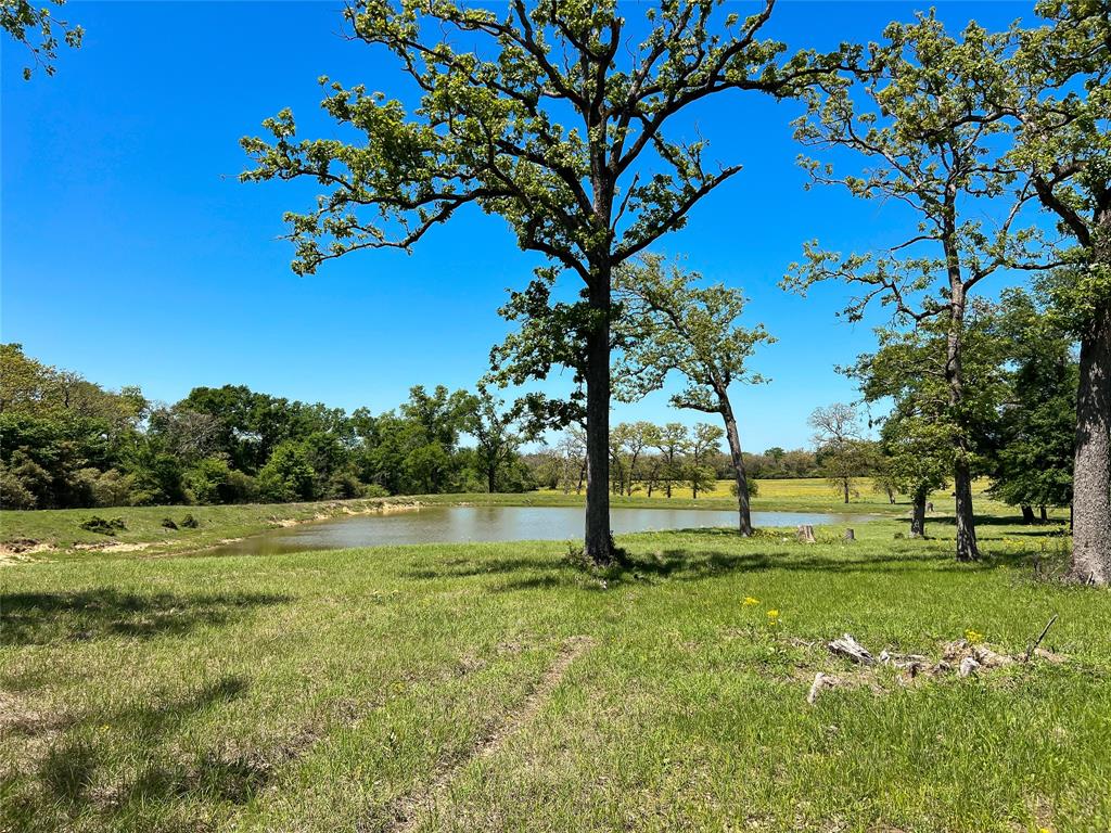 1594 Fm 1147, Marquez, Texas image 47