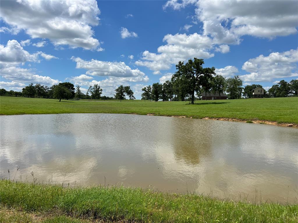 1594 Fm 1147, Marquez, Texas image 42