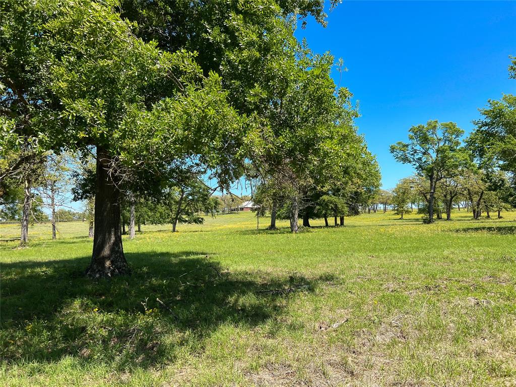 1594 Fm 1147, Marquez, Texas image 46