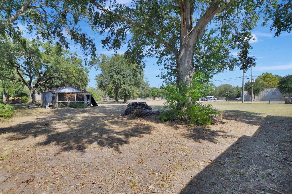 29515 Quinn Road, Tomball, Texas image 25