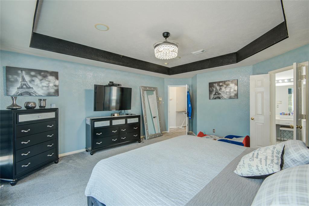 2916 Eagle Lake Drive, Pearland, Texas image 28
